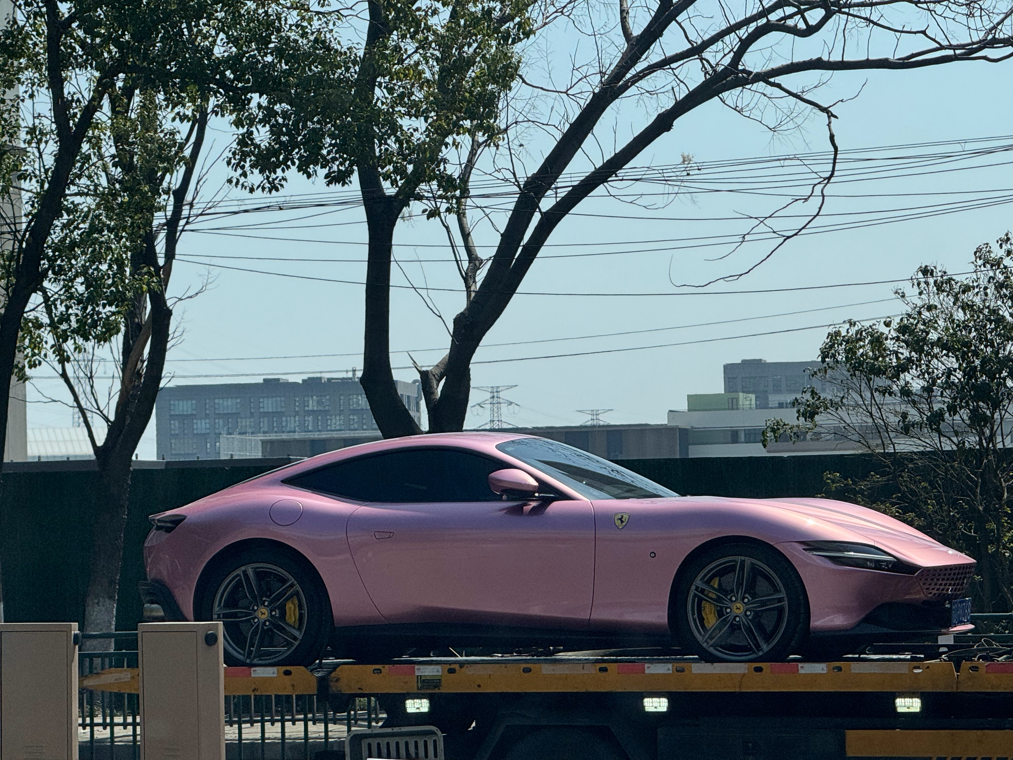 法拉利坚决不提供粉色车漆的核心原因：粉色被视为过于柔美、年轻化、非经典，会稀释法