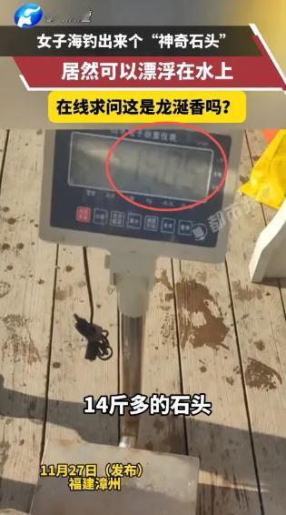 “这简直是捡钱啊！”11月24日，福建漳州，一女子在海边钓鱼时，看到海面上飘着一