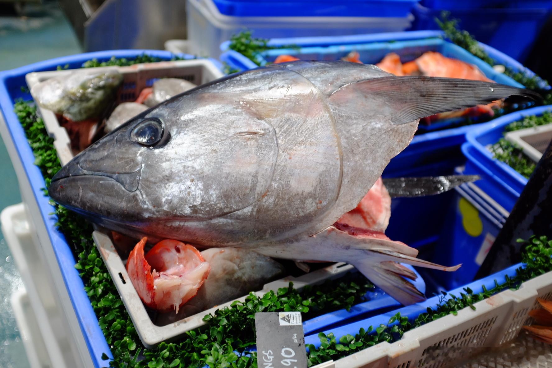 Tasman star海鲜市场🐙🦞🐟🦐🦀 