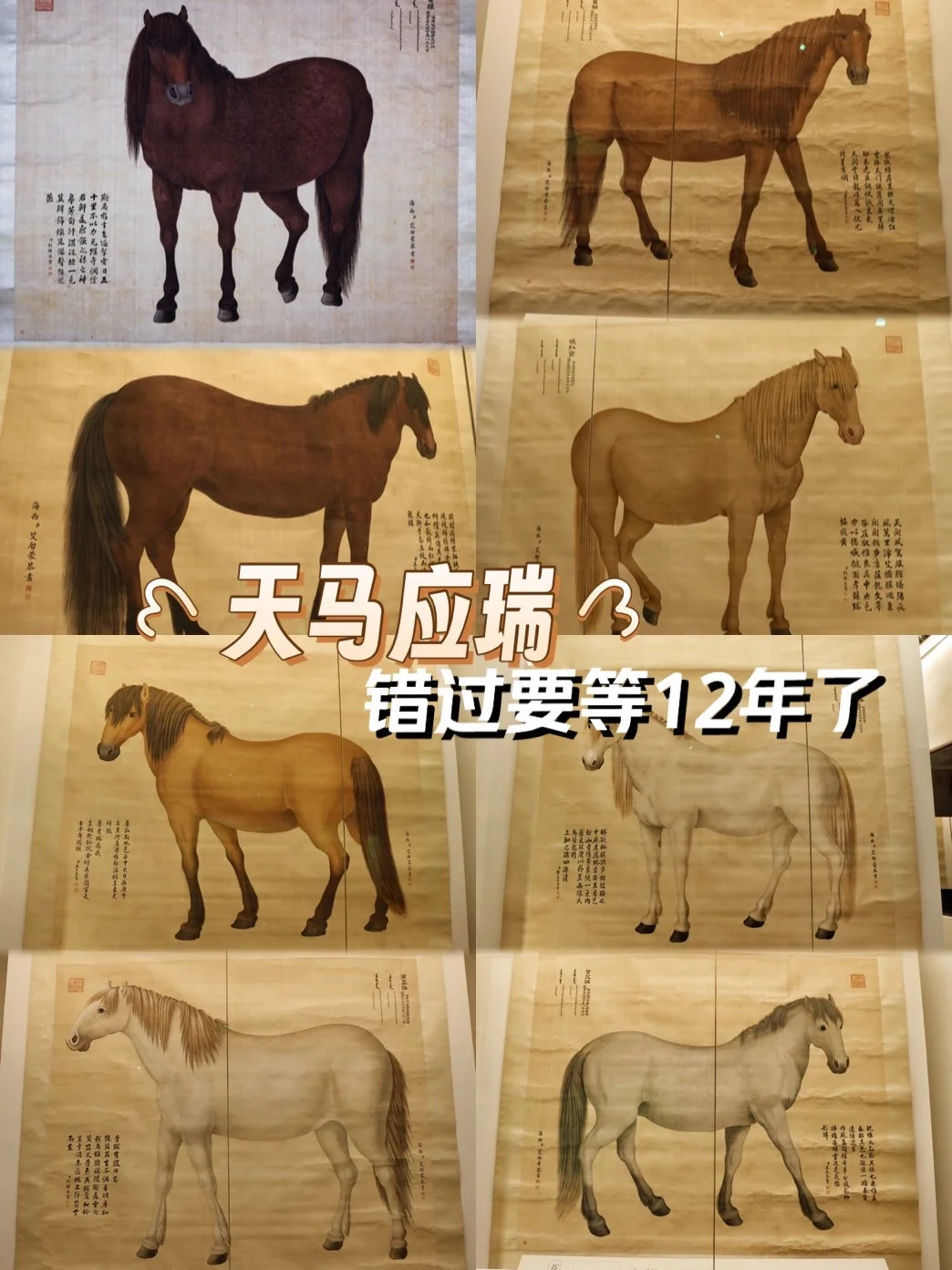 南博「天马应瑞」特展｜错过要再等12年了