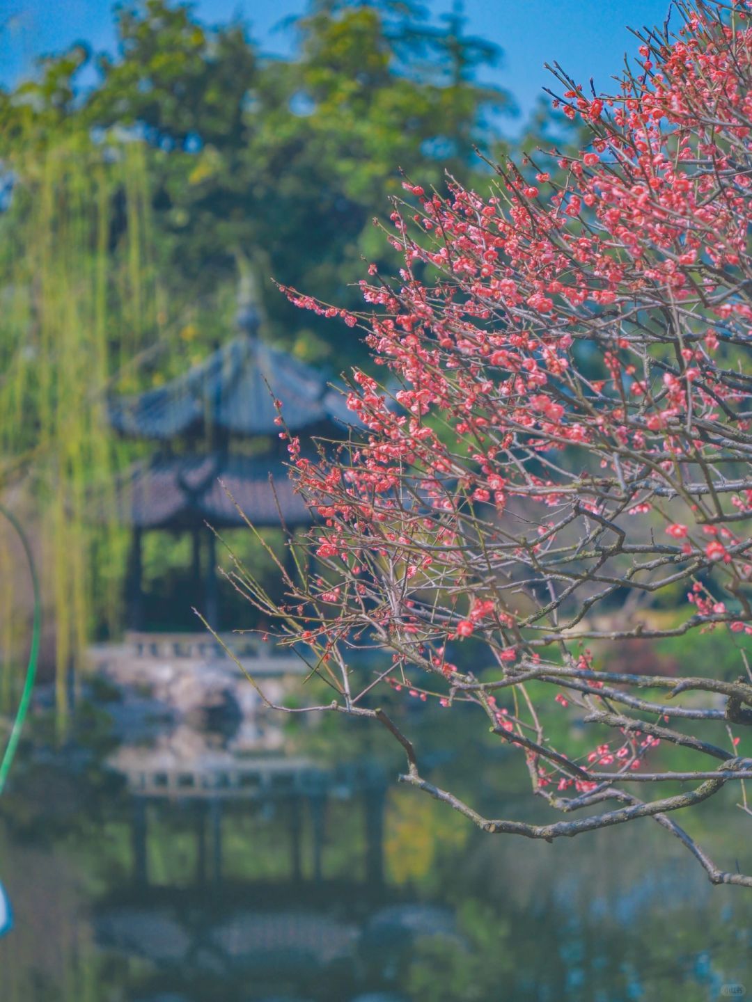 春游记｜春天该很好🌷 你若尚在场
