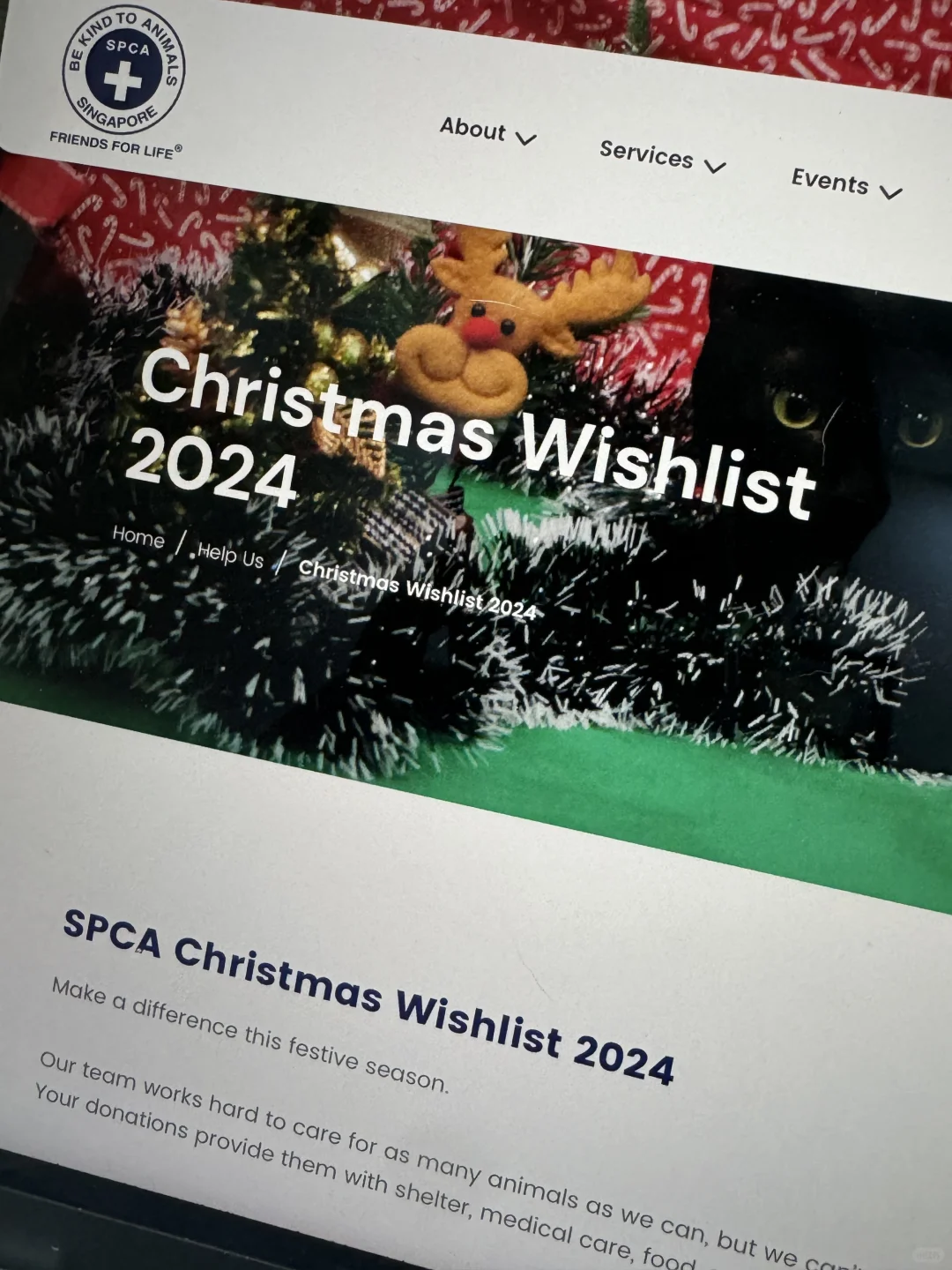 给SPCA里的小狗小猫送圣诞礼物🎁