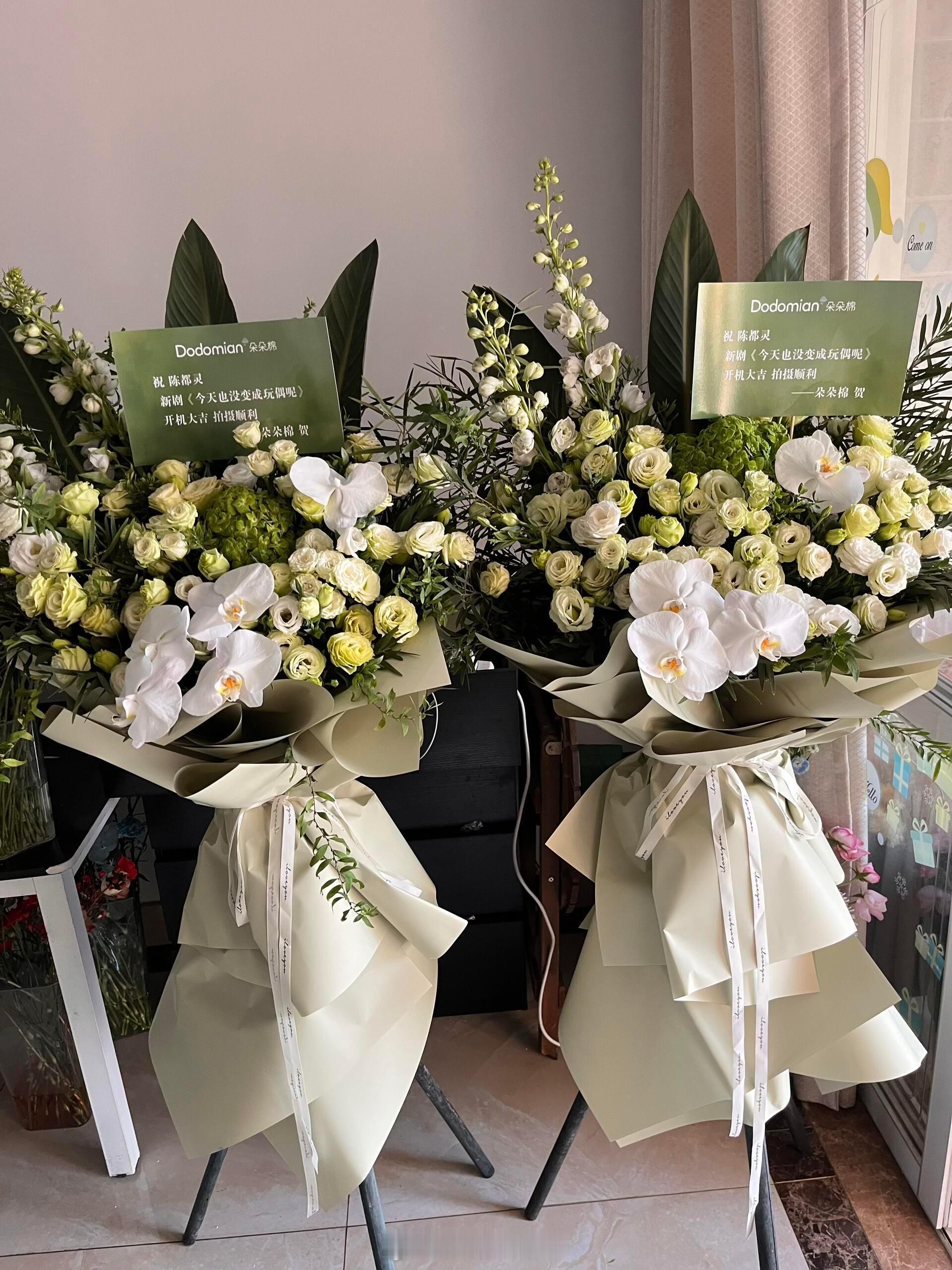 陈都灵新剧《今天也没变成玩偶呢》开机品牌霸霸应援花篮 