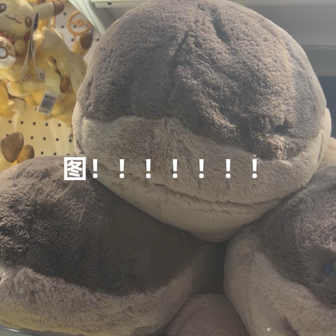 暴走逛街归来⚠️明天见喏 