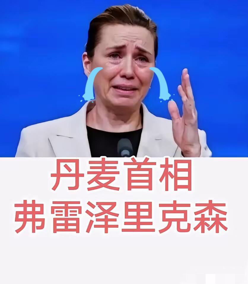 丹麦并不值得可怜，他早站在仇俄反中的第一线。
在联合国大会上，丹麦首相率先对华发