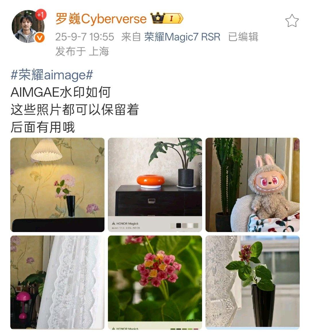 荣耀可真会玩！原来自家力推的AIMAGE还有花活，不仅有专属水印，还有色块新玩法