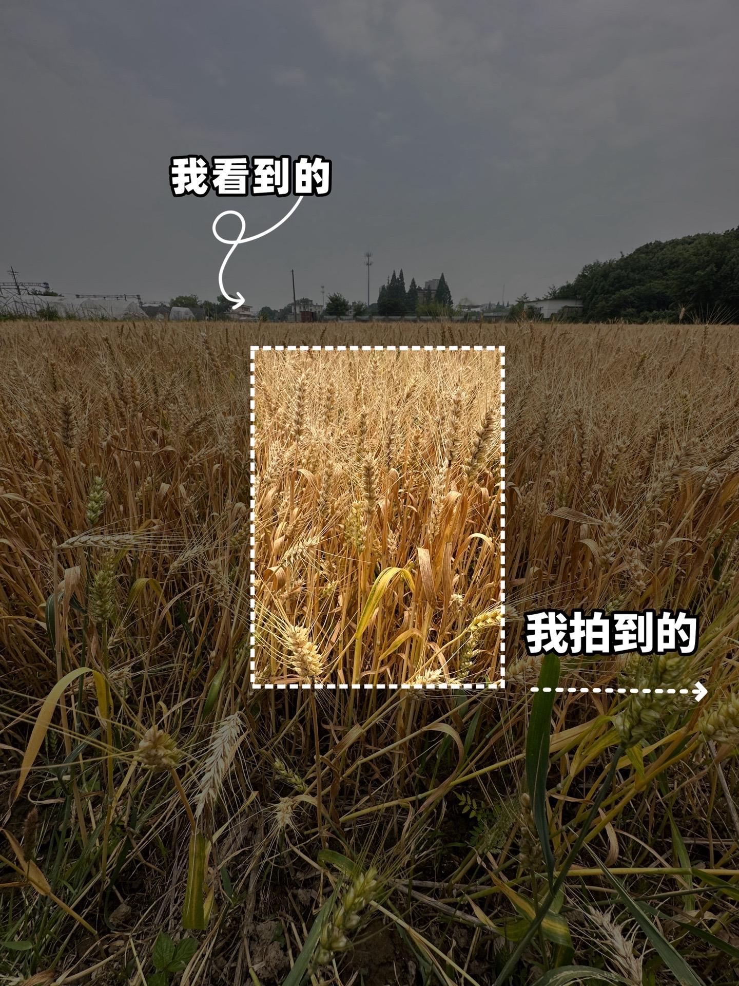 我看到的vs我拍到的｜培养摄影眼｜平凡的。我看到的vs我拍到的｜培养摄...
