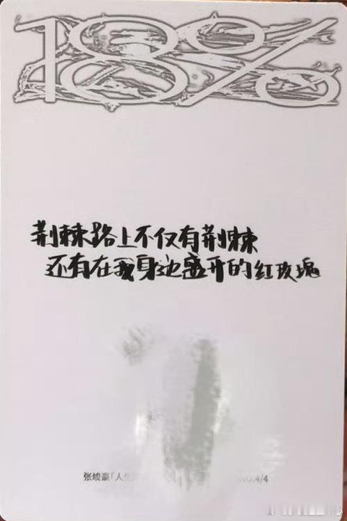 张峻豪：致我的红玫瑰好有创意和想法的 ，把粉丝比作红玫瑰也太浪漫了吧！ 