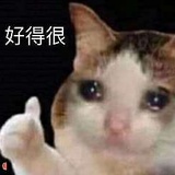 软毛毛最爱娱乐