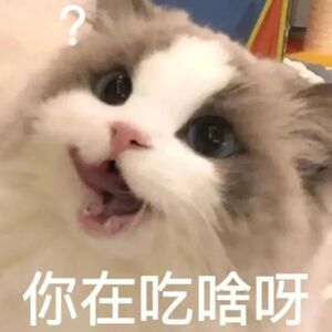 网友锐评演唱会假唱两条规律：中音烂如💩  高音稳如[doge]站桩烂如💩  