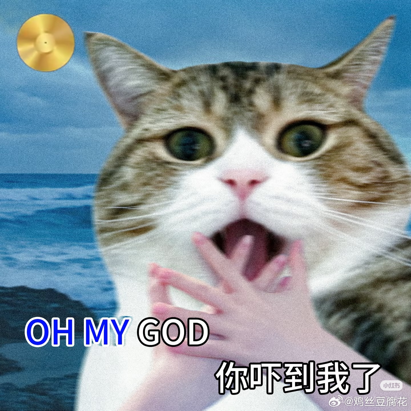和ai讨论了一下？【问:为什么粉圈里会有人喜欢讨好黑自家的yxh或博主，甚至还会