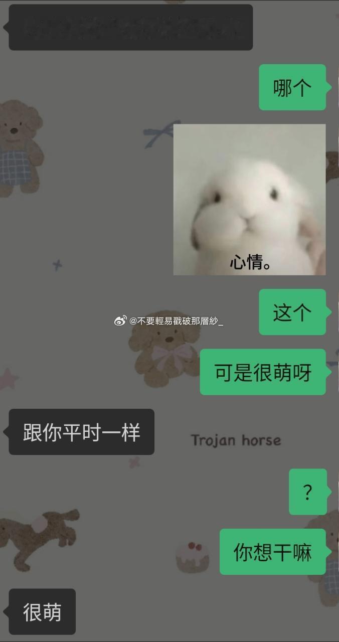 21814继21341 又是。兔子。 