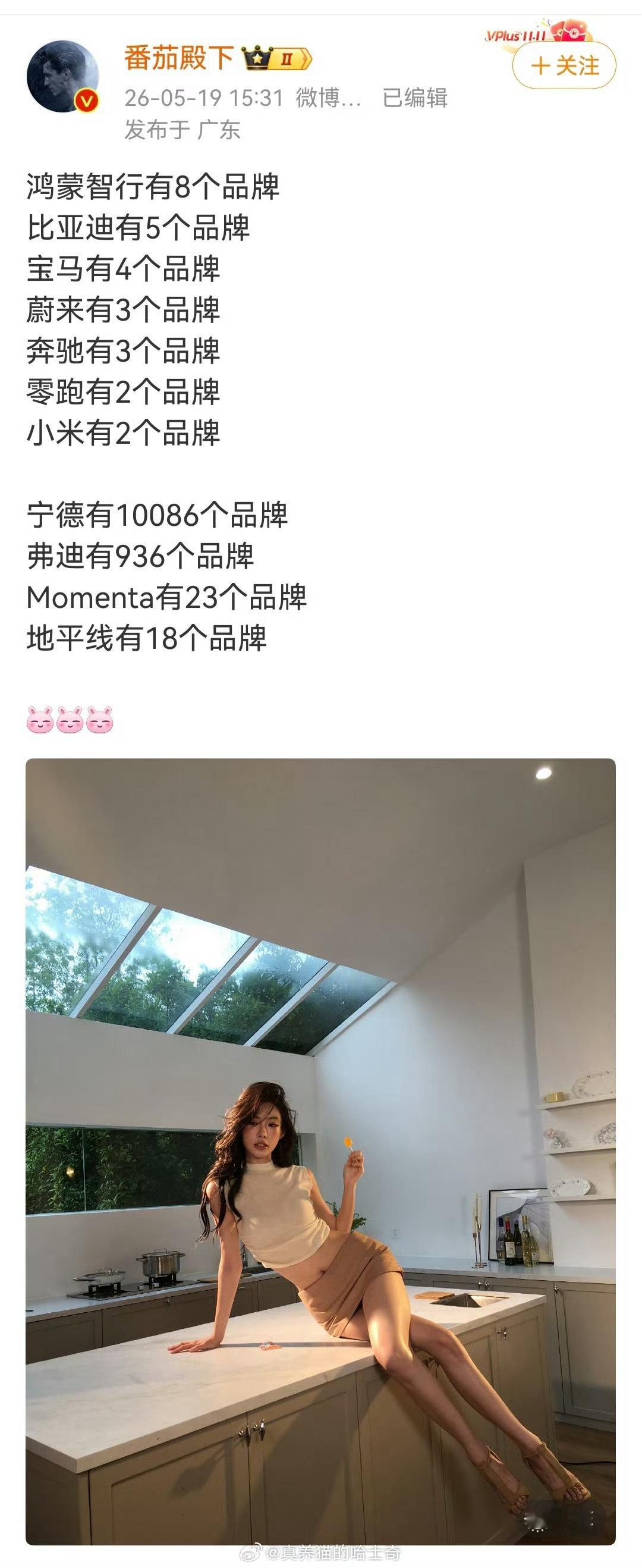 连乾崑的镜和鸿蒙智行都分不清楚，就在这儿阴阳？先去问问豆包什么是“品牌”吧