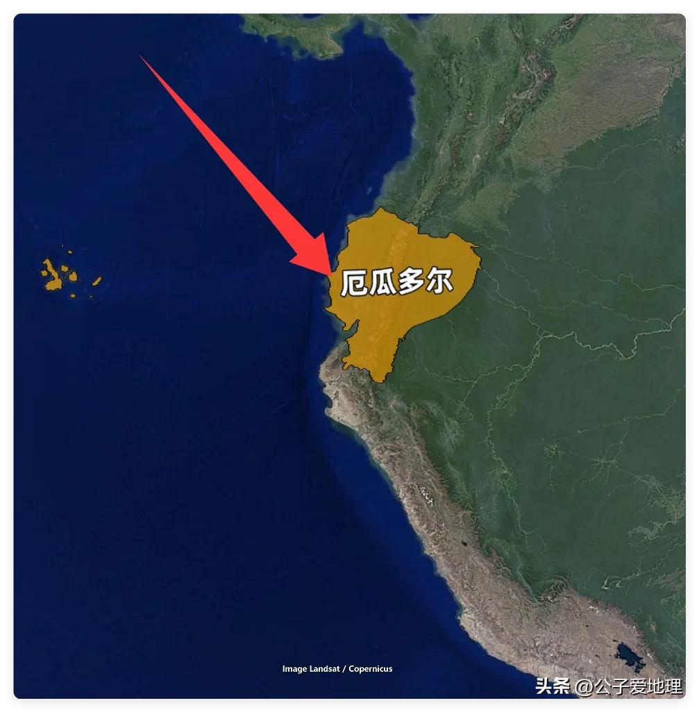 举国欢庆！逆转德国出线，厄瓜多尔总统宣布：6月26日全国放假！

你见过输一场球