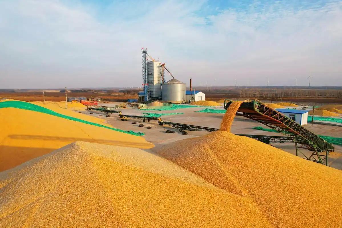 断中国粮，饿死十几亿人？美国驻日本的大使曾扬言，表示要是不接受他们的标准，就要断