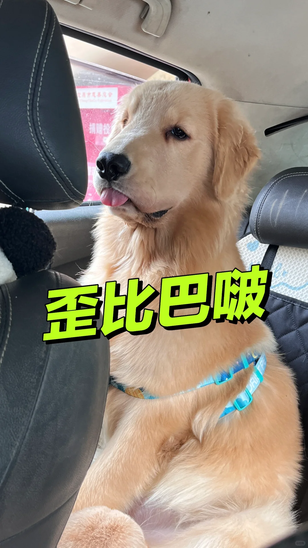 歪比巴啵～