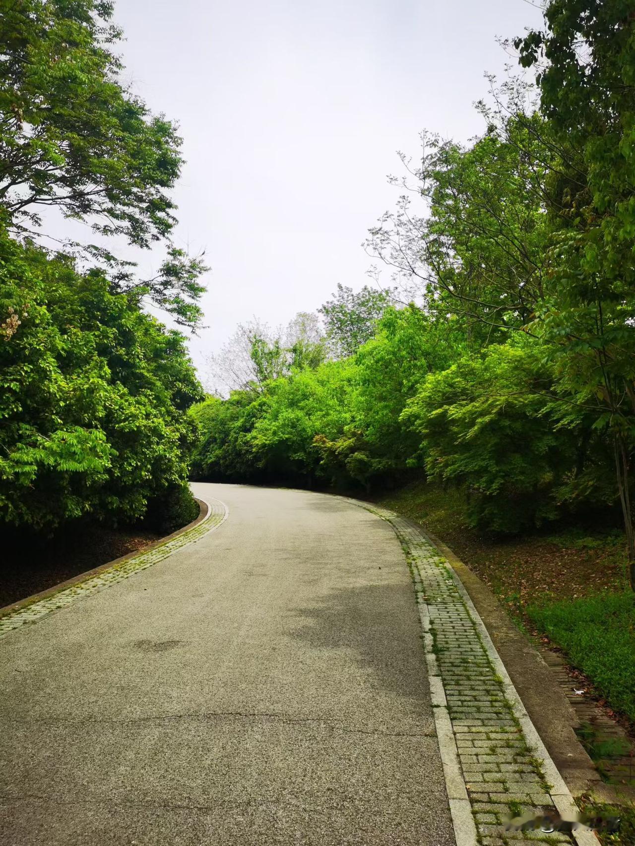 所谓实践大于认识、实践大于理论，就是说，我们能不能得到我们想要的结果，不是靠主观