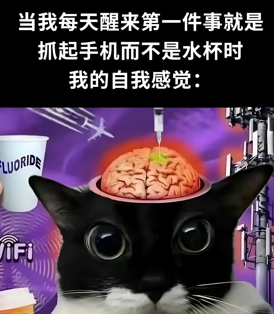 早上定了闹钟却起不来，但玩一下手机就清醒了meme