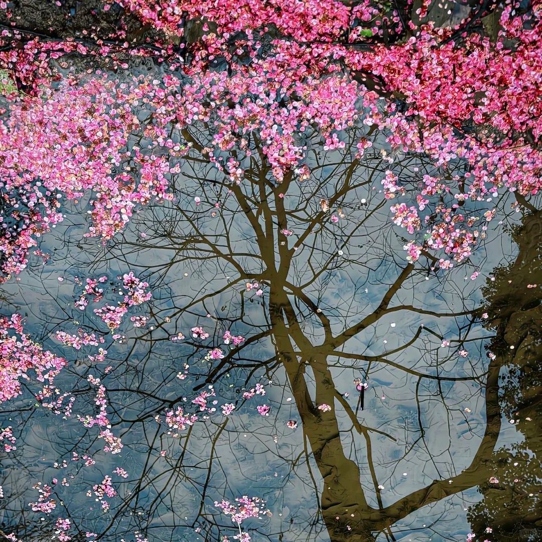 朋友圈背景丨该换背景图了～ 