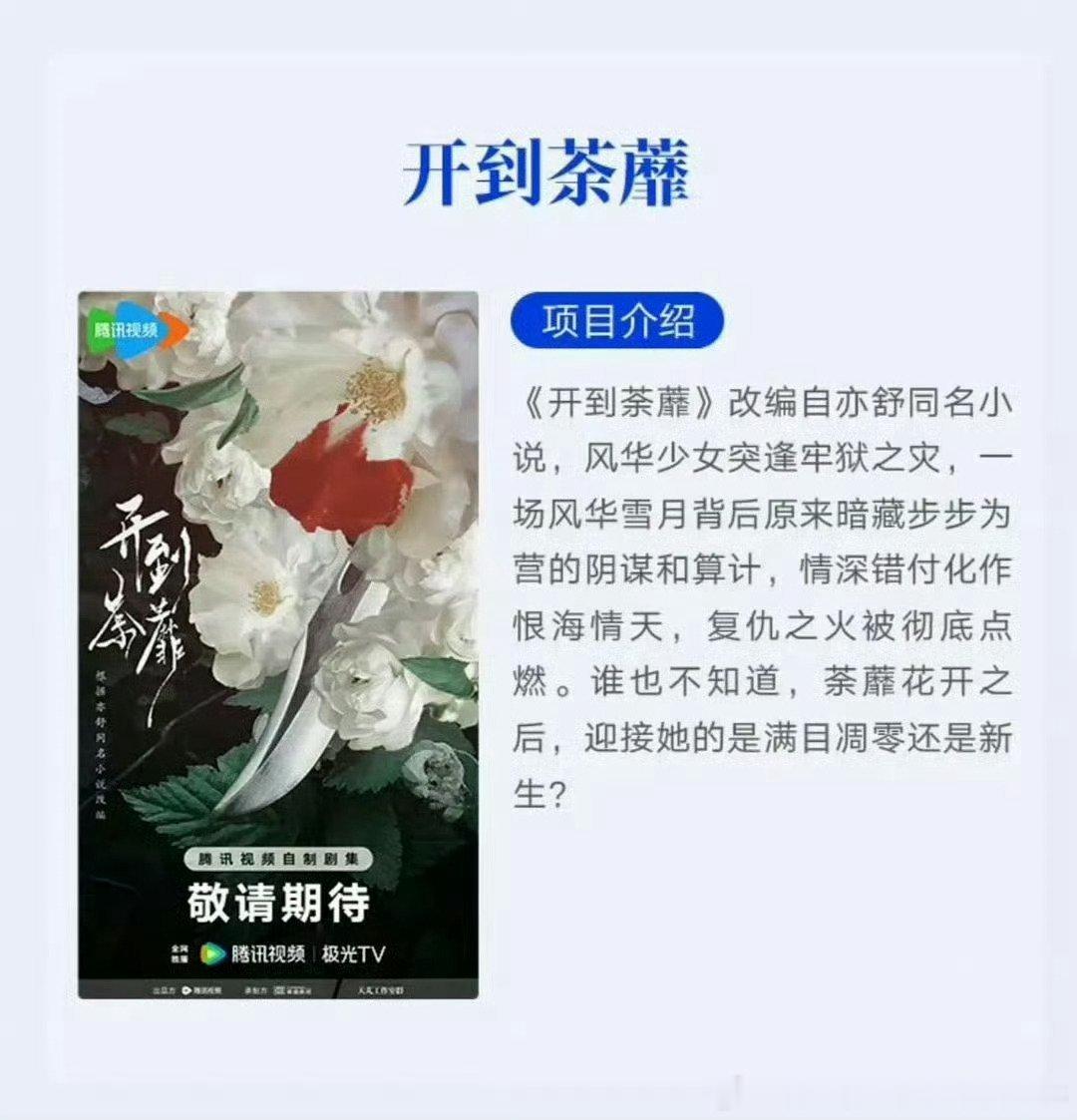 咋又是复仇？🍍这是想抢吴谨言的复仇大女主赛道？氵茉莉还没扑够