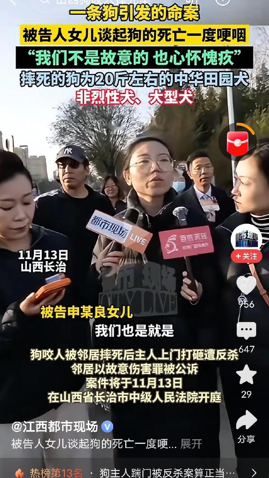 狗先咬人，摔狗是正当防卫，狗主带人闯入男子家被反杀，男子属于正当防卫，综合分析结