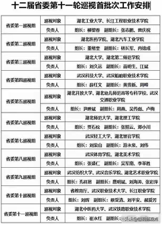 湖北11个巡视组进驻48所高校，附属医院、论文质量成重点

近日，湖北省派出11