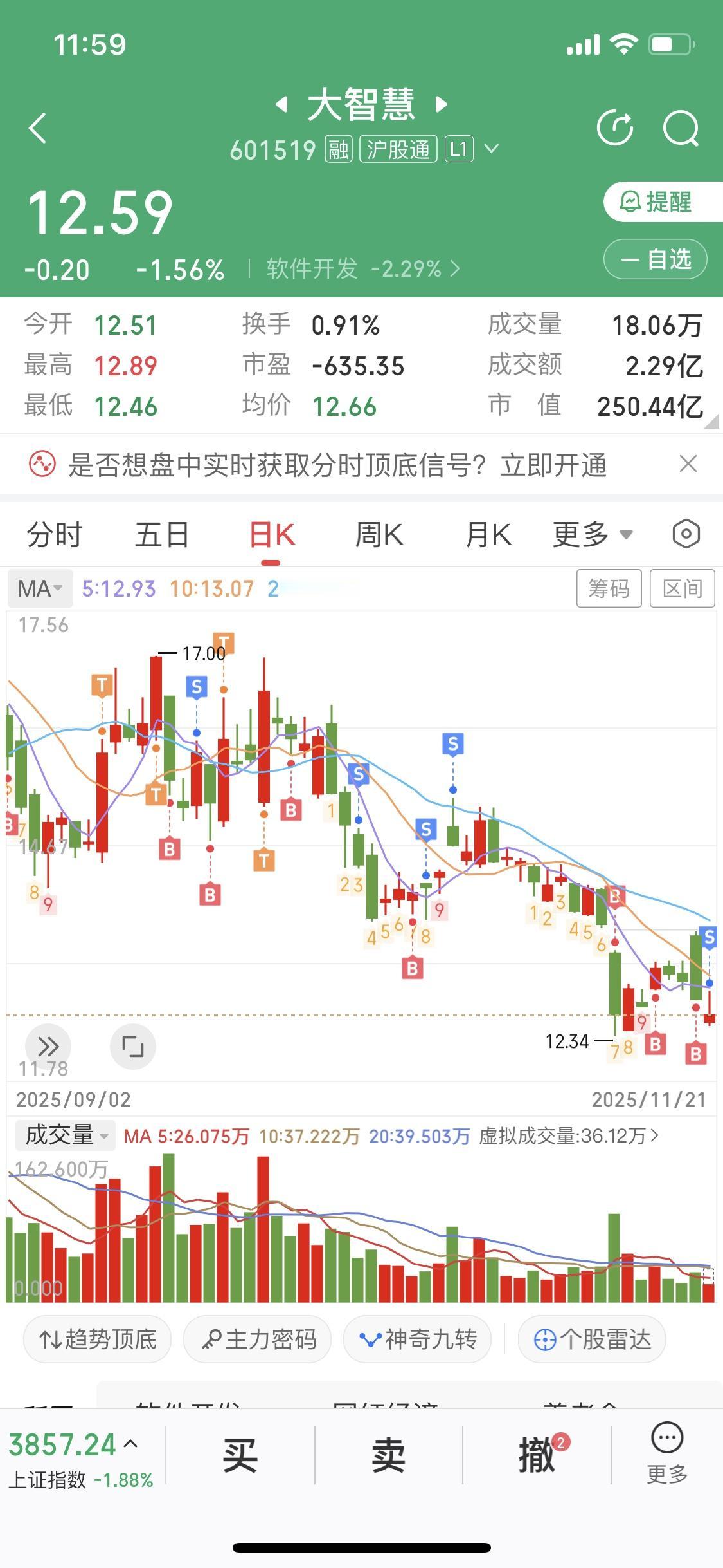 11月21日这股灾式行情可太闹心了，大盘放量下跌，亏损效应明显，下跌趋势中的小反