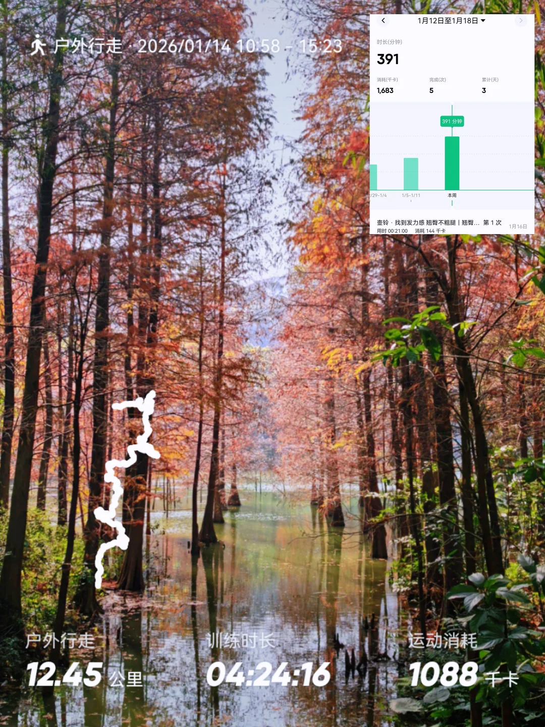 一周三练｜健身搭子是哑铃和整座山｜D6-8