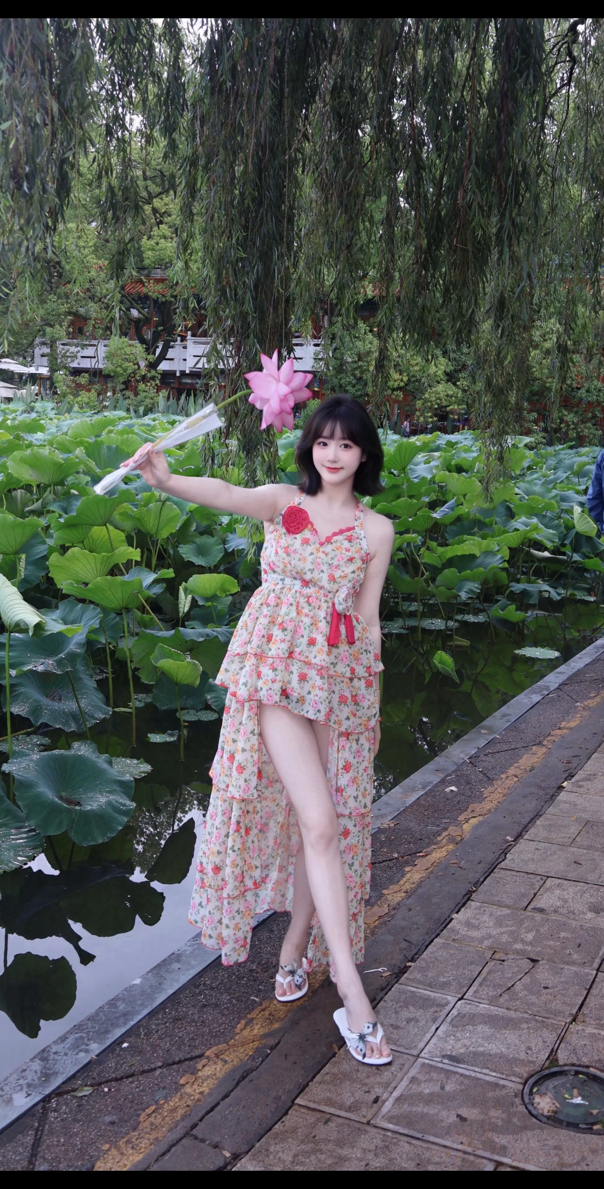 荷风知夏• 夏日观荷• 莲动夏生。