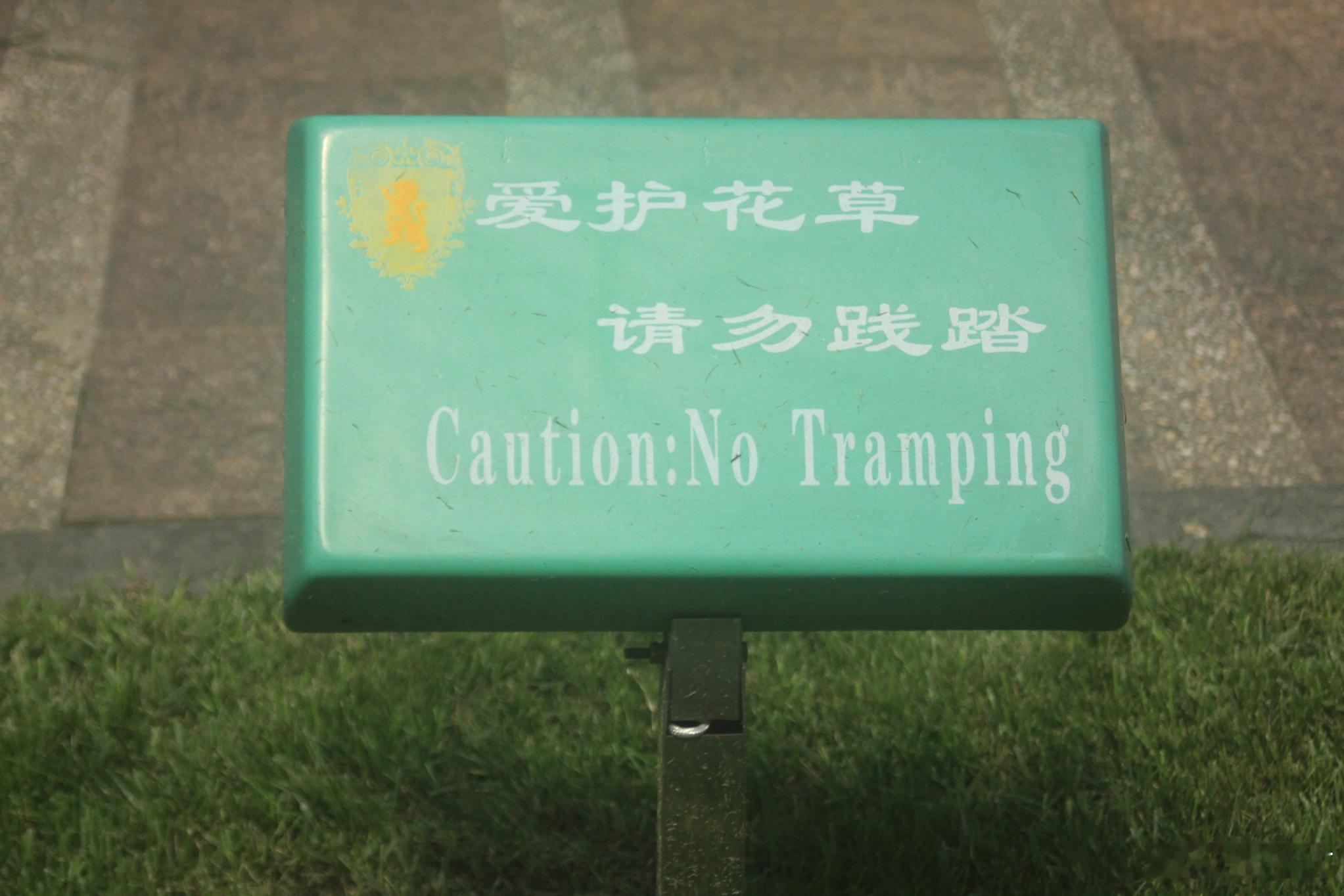 迷失在翻译中 ​​​