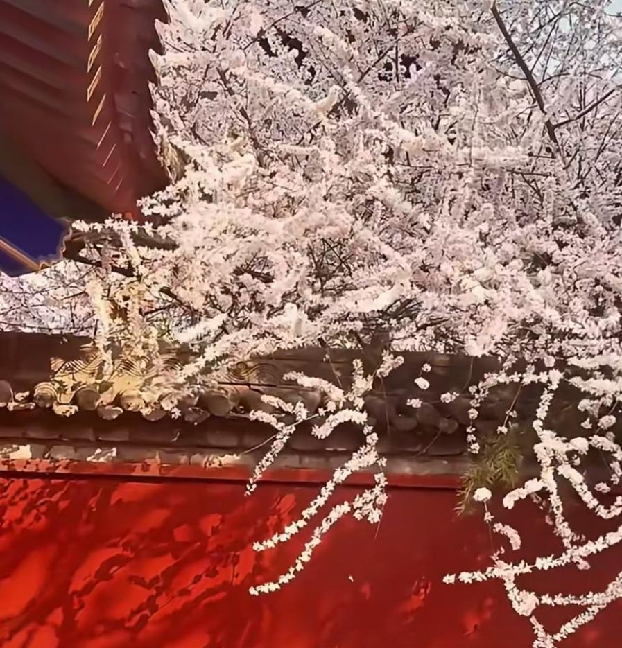 西宁的朋友们发现没有一个新现象，最近西宁的二手房交易好像有所好转。你们可能笑我胡