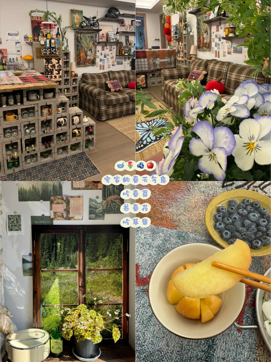 家有生命力₍˄·͈༝·͈˄*₎◞ ̑̑