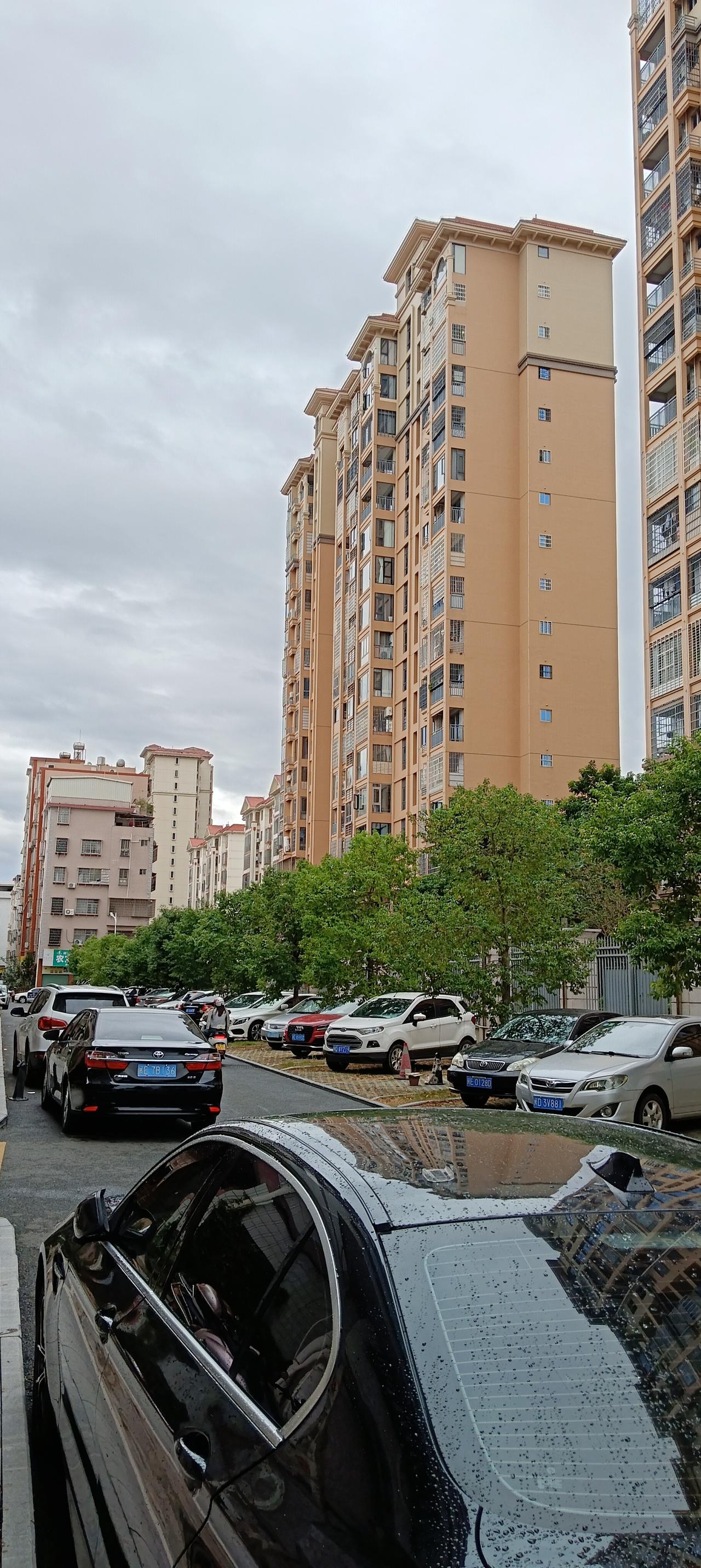 昨晚的一场雨，今天天气变得冬寒起来，把冬天节气的寒景描绘得淋漓尽致，让人觉得特别