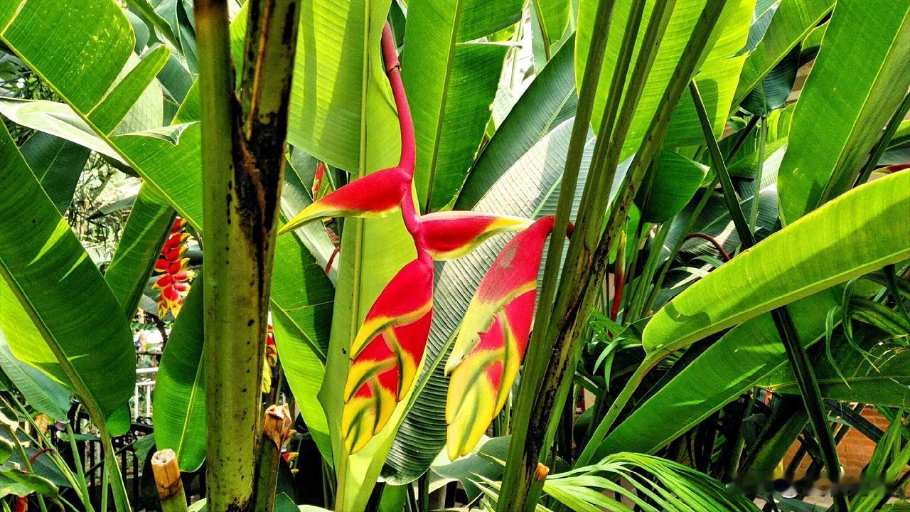 于此信是人的最好财富，遵行[十善]法能导向快乐，诸味中真理确实更甜蜜，智慧生活堪