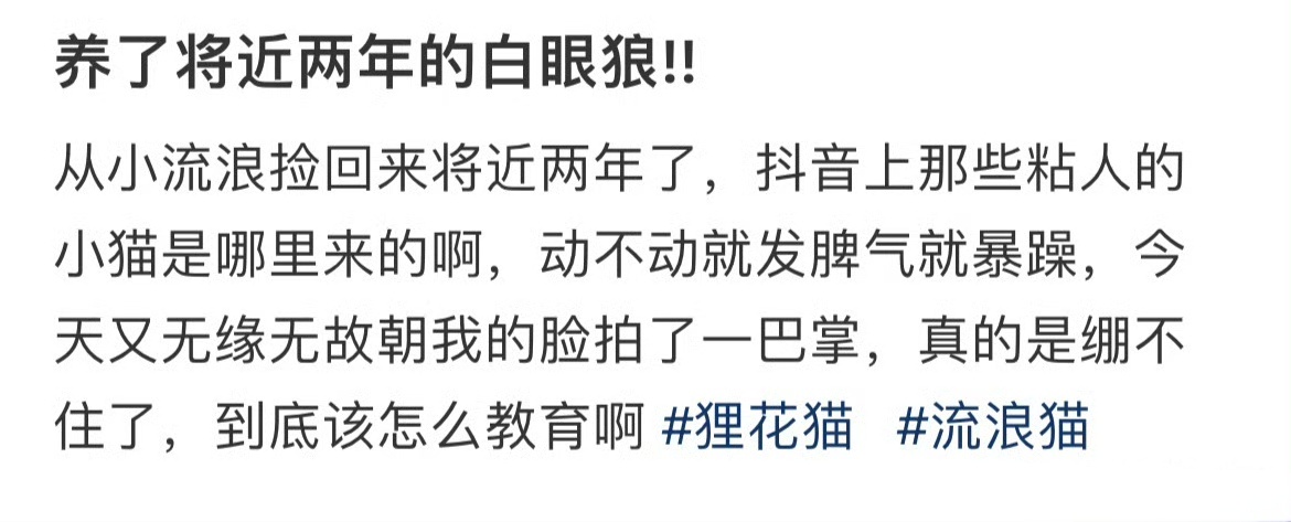 养了将近两年的白眼狼!! ​​​
