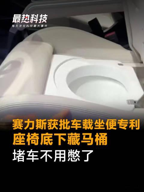 我和汽车的日常高管有话说 前有车载足疗，后有车载马桶，是刚需还是车企割韭菜的新噱