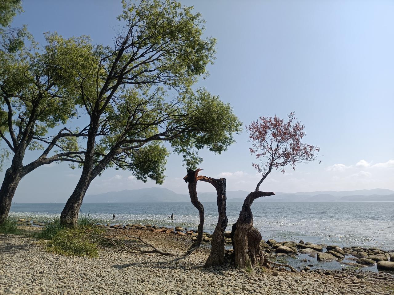 每日洱海