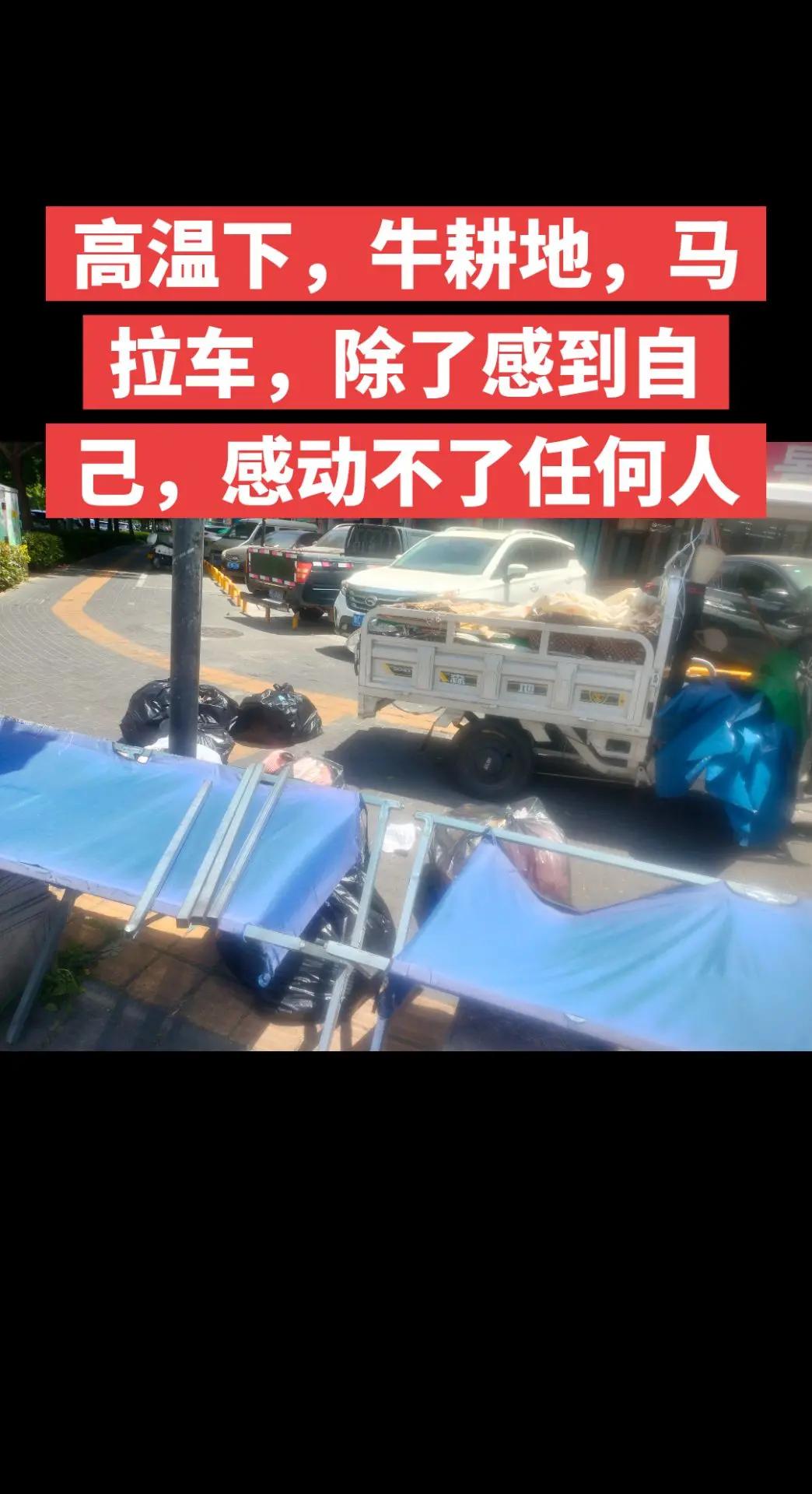 高温下，牛耕地，马拉车，除了感到自己，感动不了任何人