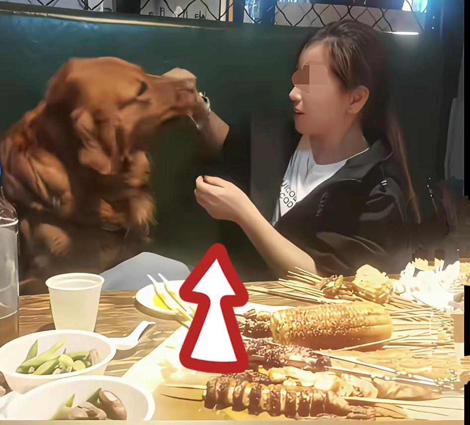 大连金石滩烧烤店女子让金毛撸签子，店主喊冤：喂狗的卡座是角落，我没看见，现在已经