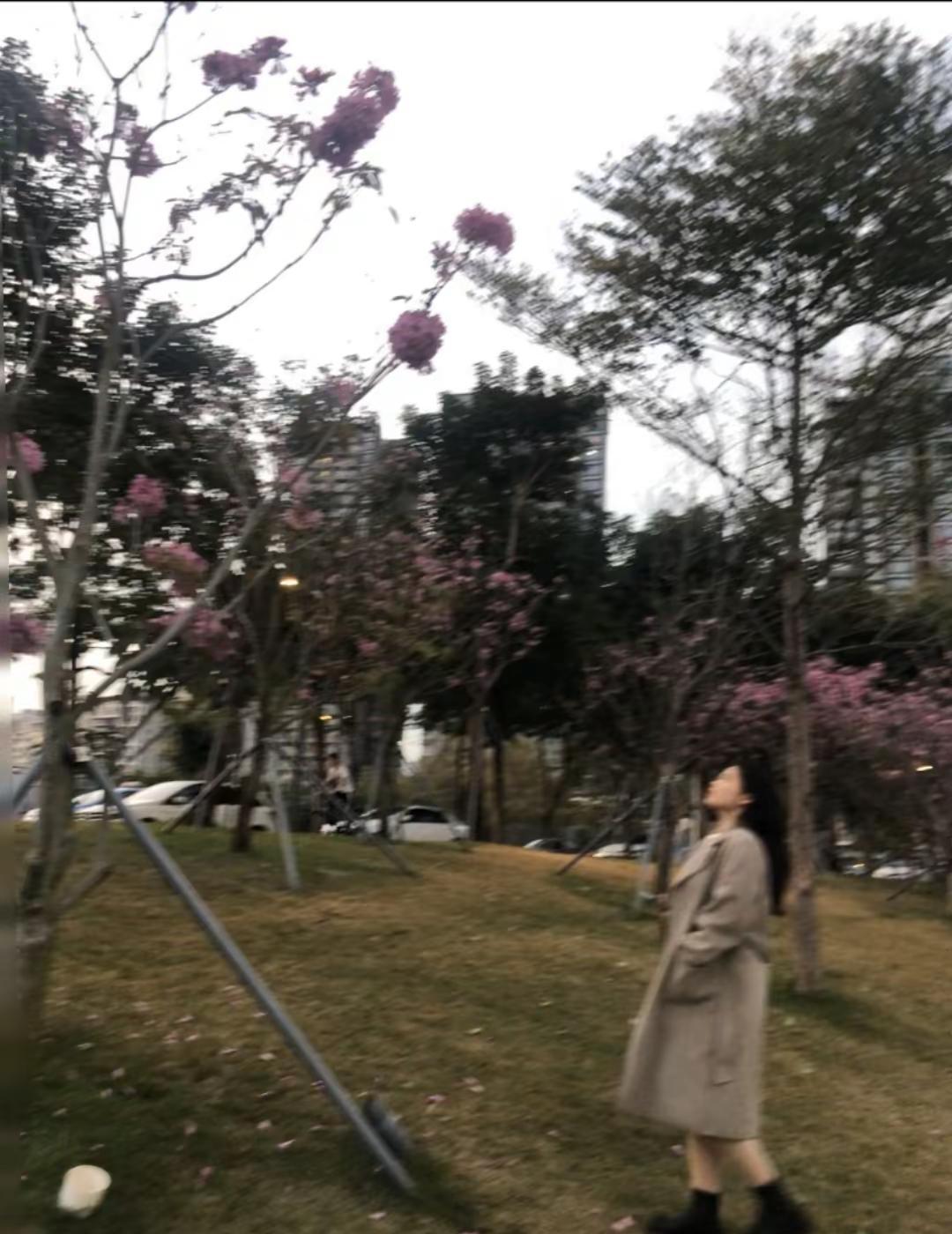 AI为你找到相册里的精彩瞬间。我的手机里有很多照片一张是照片，其他的也都是照片因