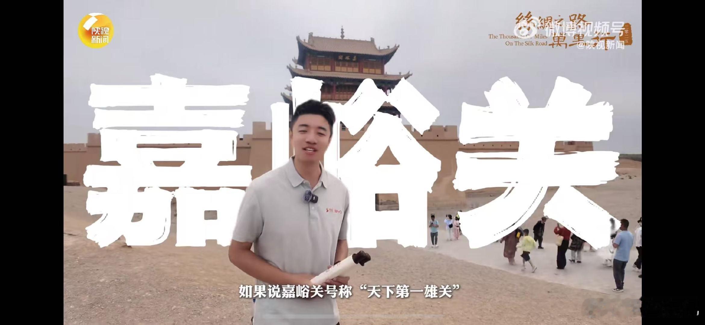 嘉峪关戈壁种出地球表面最大汉字龙丝路万里一路向前2025踏上嘉峪关土地，戈壁“龙