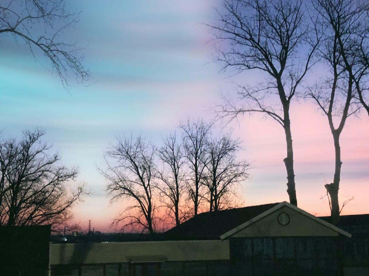 天净沙·冬日苍景
残阳落叶飘扬，
衰花枯草苍黄。
旧曲余音绕梁。
时光凝怅，
一