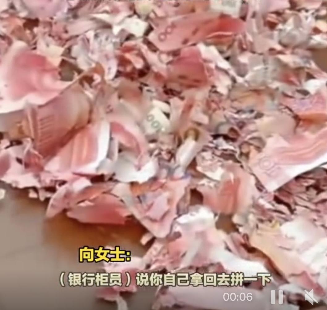 3月12日，浙江宁波的向女士发布视频称，在家中角落发现一包被老鼠啃咬殆尽的现金。