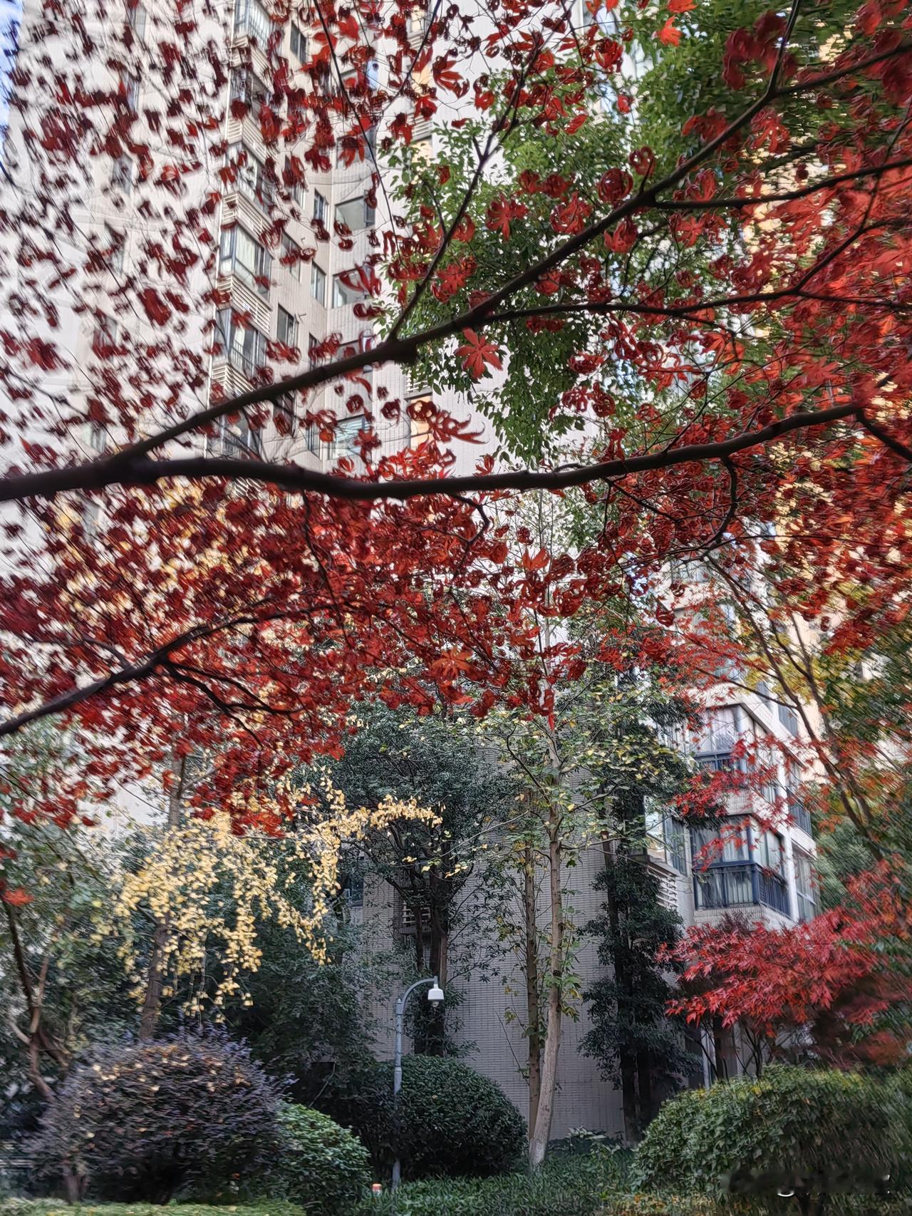 分享一张你的家乡风景照片