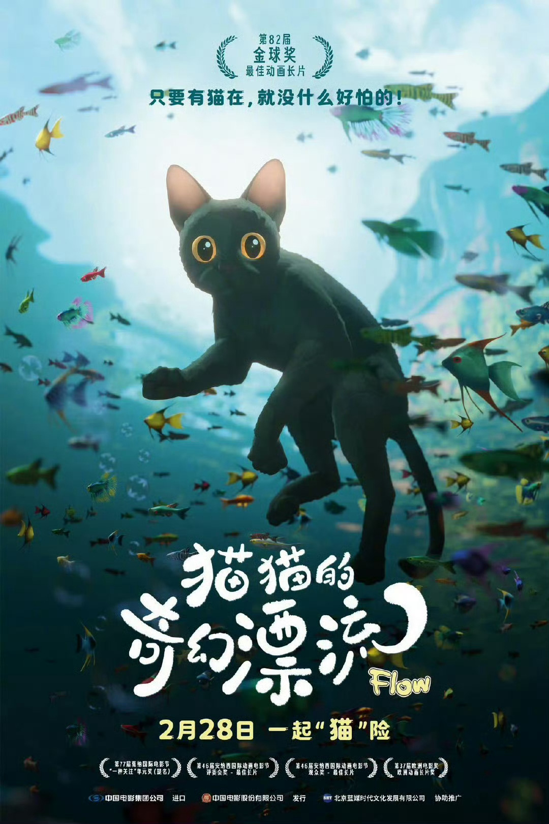 《猫猫的奇幻漂流》将于2月28号内地院线上映[锦鲤附体] 