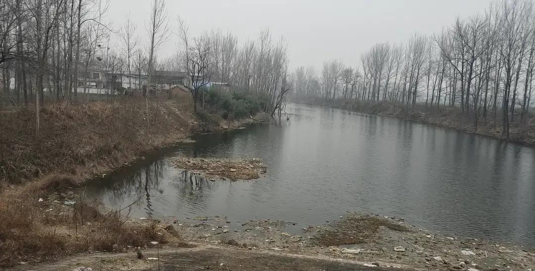 谁说冬天钓不到鱼？你只是不知道鱼躲在哪儿“开暖气”。
 
昨天隔壁老王架起4K摄