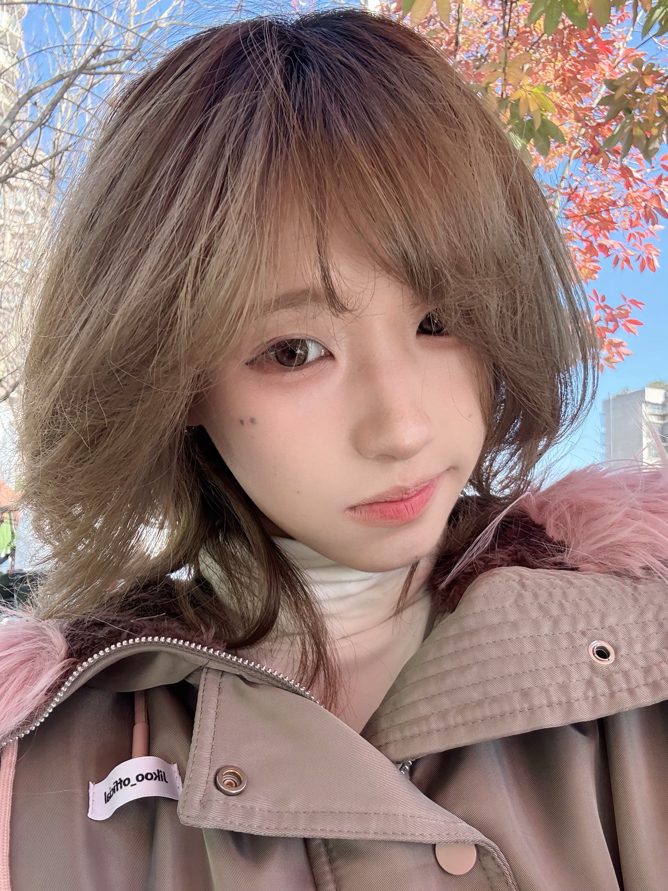 变色的叶子🍃🍂 