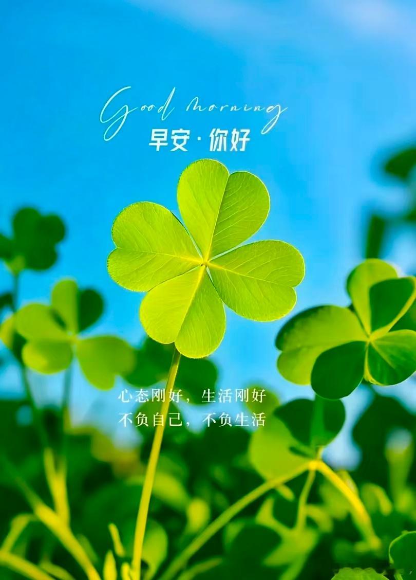 好状态才有好运气，开启美好的一天。早上好！黄金金价