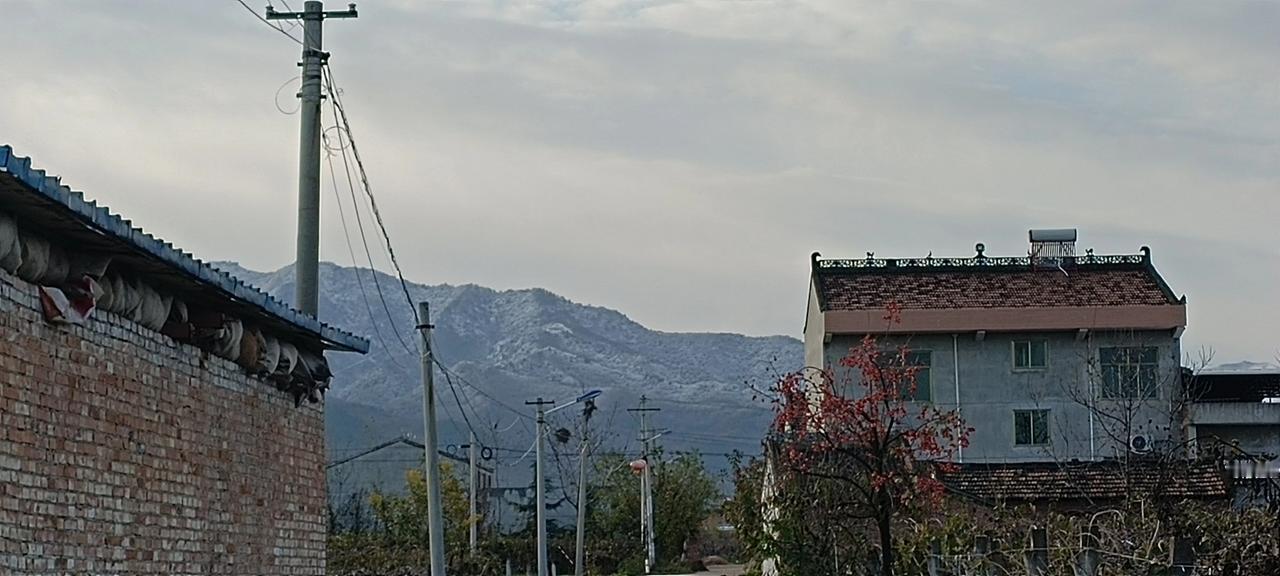 这个冬天的第一场雪