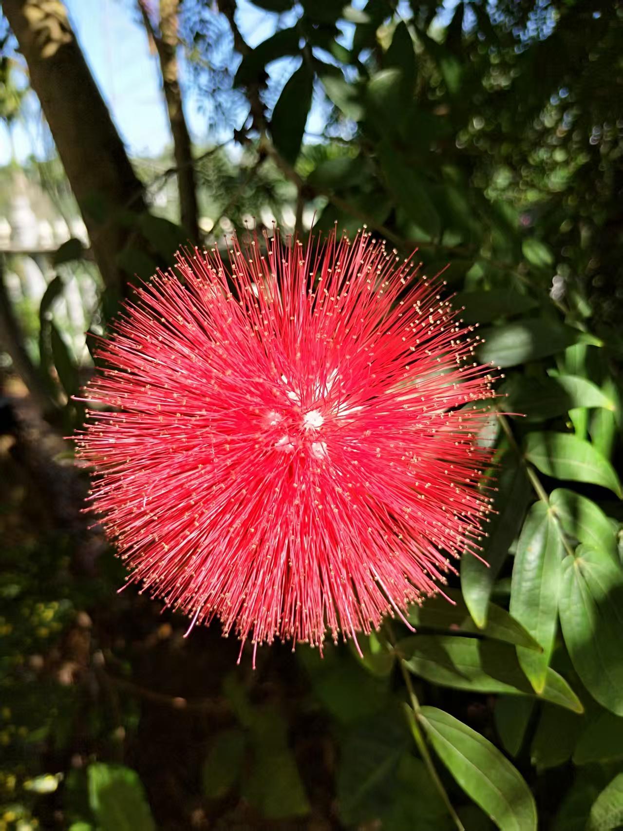 生肖属马的人，性格热情奔放、独立自主，晚年后生活选择也很有特色。
有些属马的人会